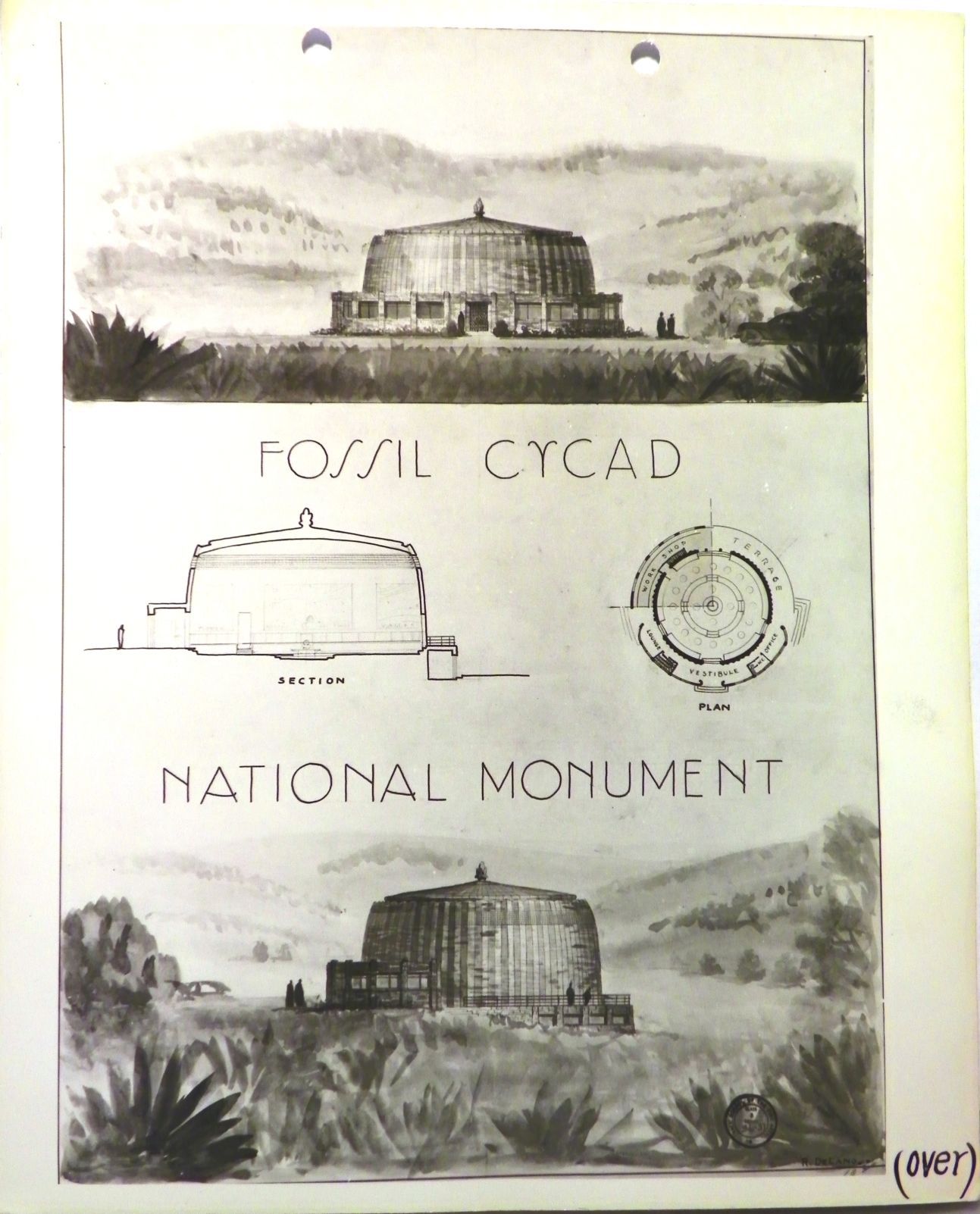 Architectural concept drawing for Fossil Cycad visitor center